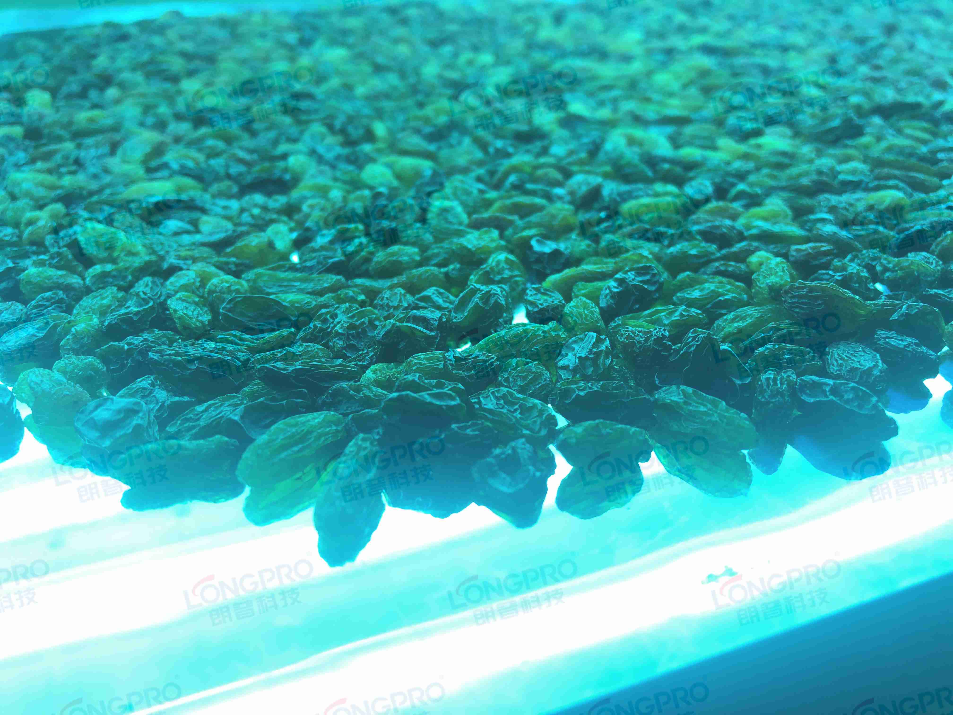 食品細菌超標怎么解決？utf-8