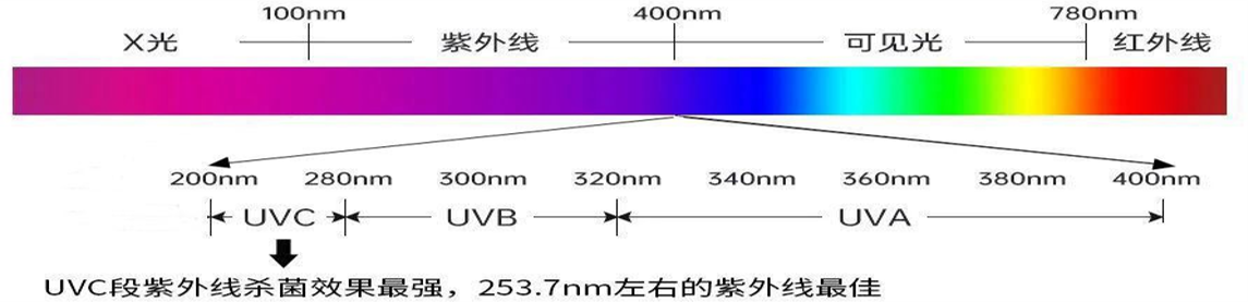 圖片 9.png 圖片 9.png